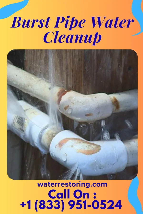 Burst Pipe Water Cleanup in Williamsville, NY