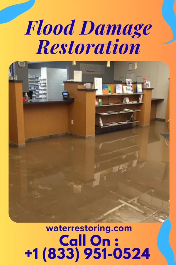 Flood Damage Restoration in Williamsville, NY