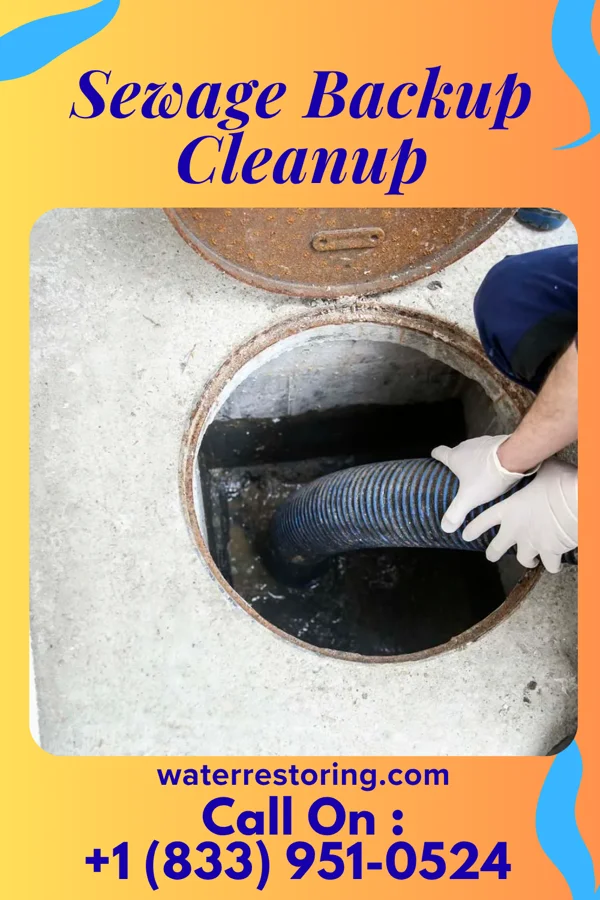 Sewage Backup Cleanup in Williamsville, NY