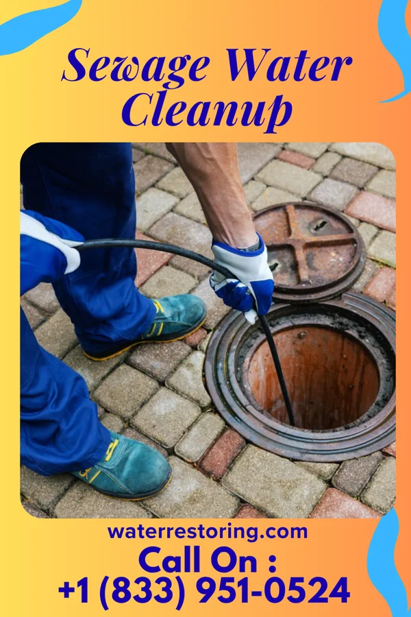 Sewage Water Cleanup in Williamsville, NY