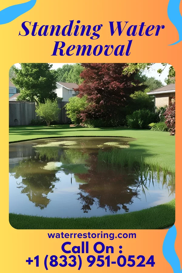 Standing Water Removal in Williamsville, NY